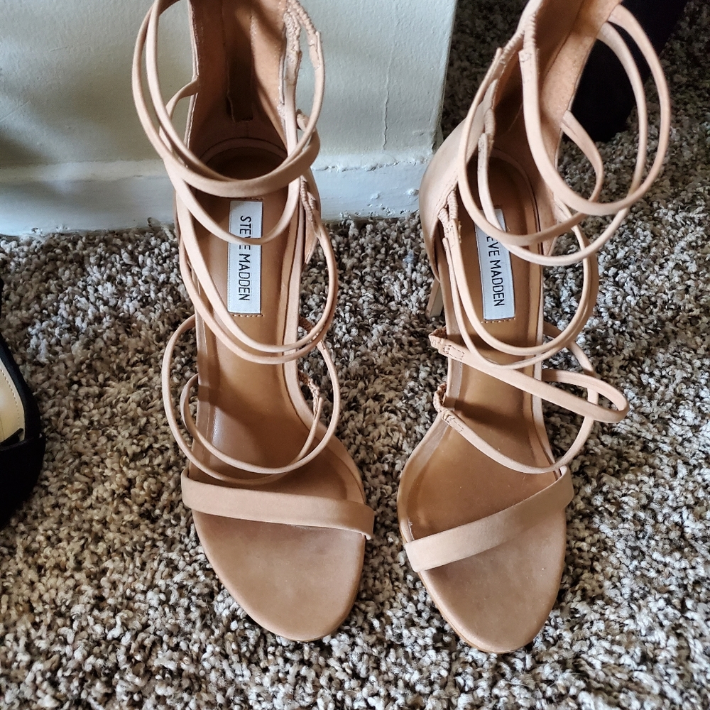STEVE MADDEN